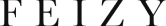 Feizy logo